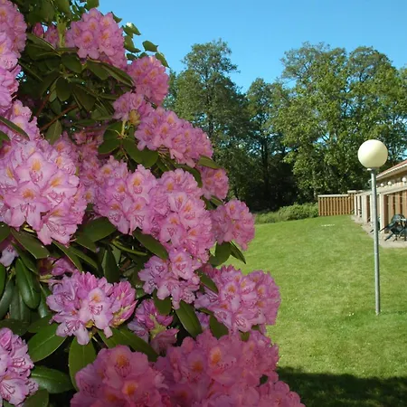 Gaestgard Christiansund Πανσιόν 3*