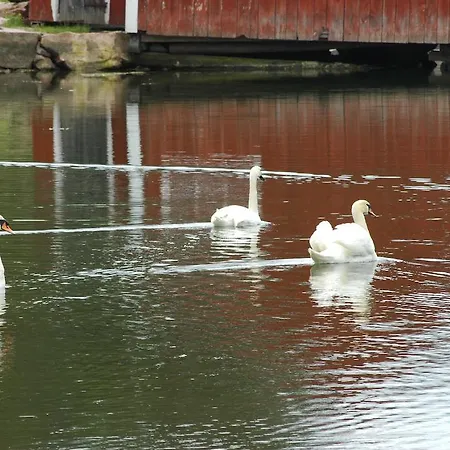Gaestgard Christiansund Eckero